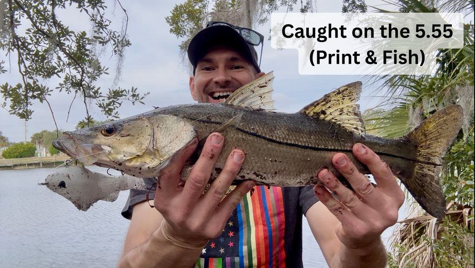 3D Print Fishing Lures Generic AF Glide Bait 5.55 Inch Printable STL 3MF File Download