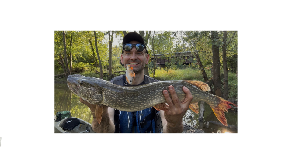 3D Print Glide Baits